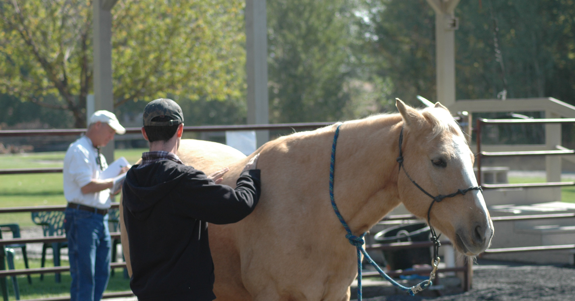 Swiftsure Ranch | Equine Therapy | Idaho