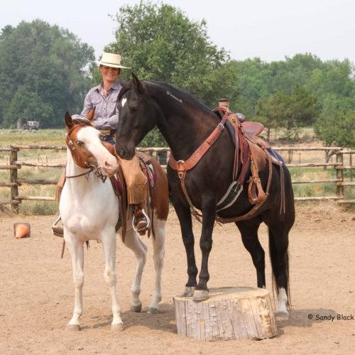 Swiftsure Ranch Clinic with Dana Lovell Running T Horsemanship