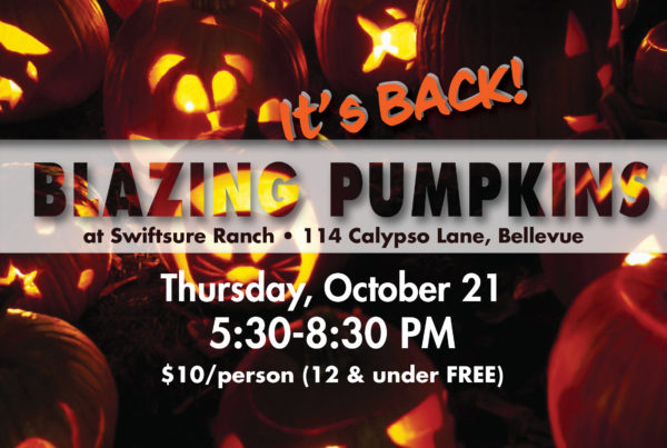 Blazing Pumpkins | Swiftsure Ranch Therapeutic Equestrian Center